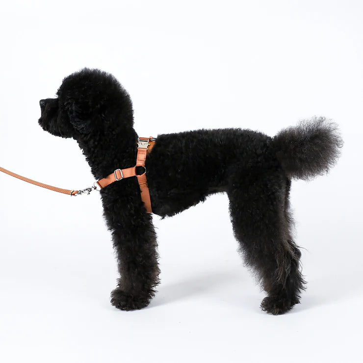 HOZI Harness Horsebit Harness