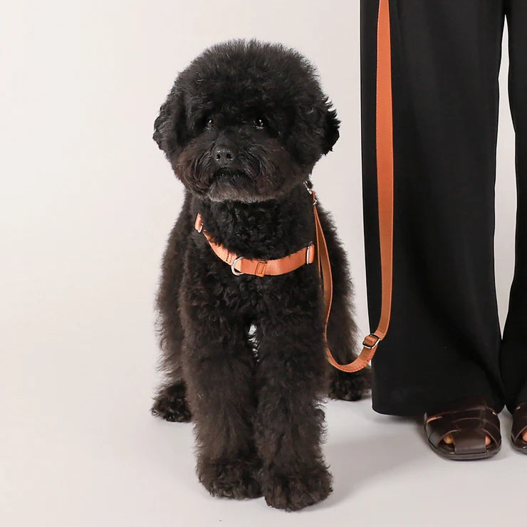 HOZI Harness Horsebit Harness