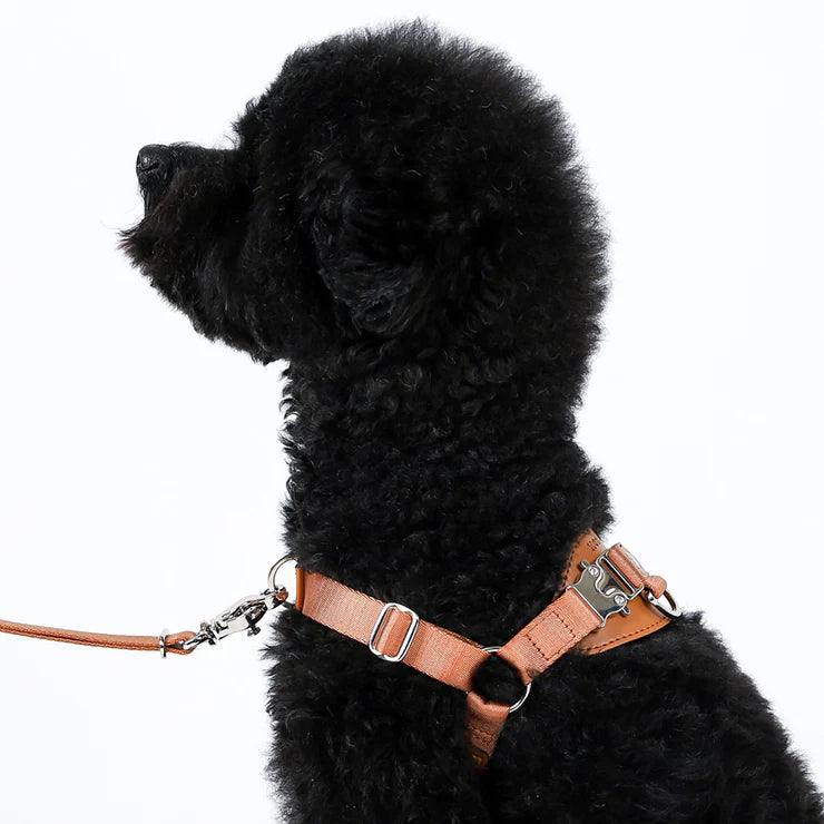 HOZI Harness Horsebit Harness