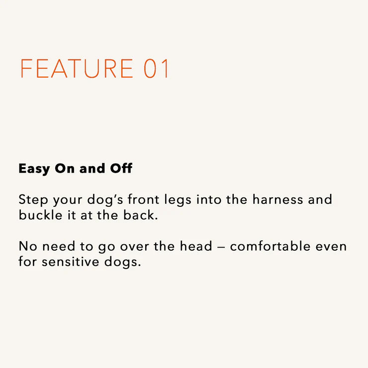 HOZI Harness Horsebit Harness