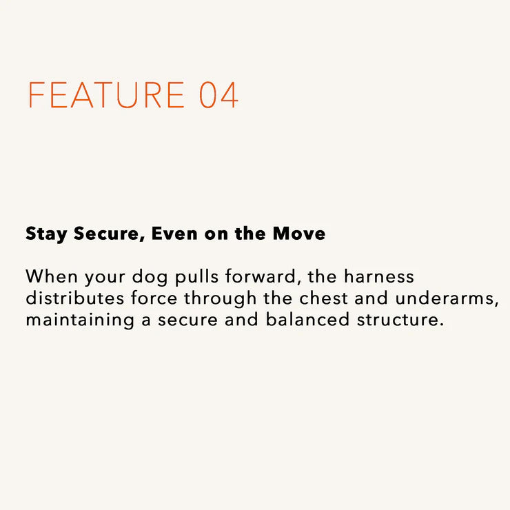 HOZI Harness Horsebit Harness