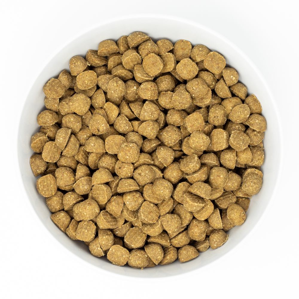Stella & Chewy's Canine; Grass-Fed Beef Raw Coated Baked Kibble 凍乾生肉外層低溫烘焙狗糧 草飼牛配方 Stella & Chewy's