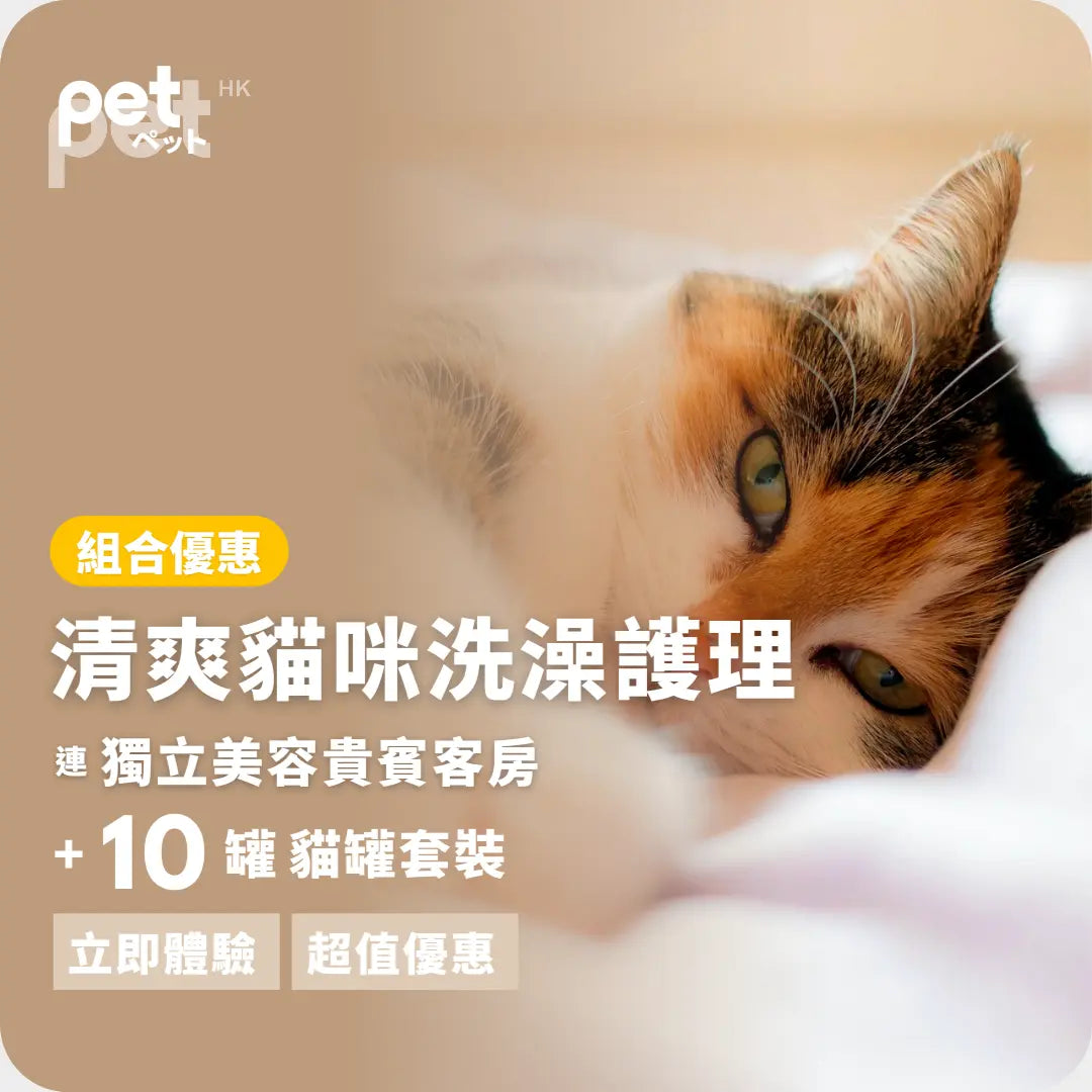 清爽貓咪洗澡護理 (連獨立美容貴賓客房) +10罐 貓罐套裝 PET