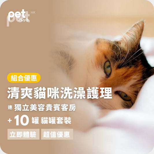 清爽貓咪洗澡護理 (連獨立美容貴賓客房) +10罐 貓罐套裝 PET