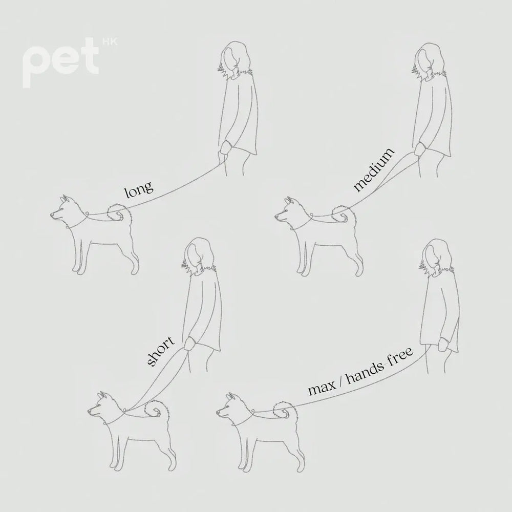 MELLEM wide 牽引繩 - 2.5cm wide // all weather convertible leash / 6ft or 180cm max Lambwolf