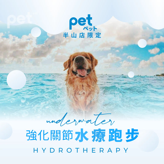 水療跑步服務 Treadmill Hydrotherapy thepethk